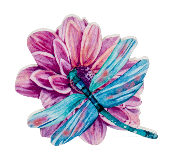 Dragonfly Screen Door Savers- - Tampa Home & Garden Store