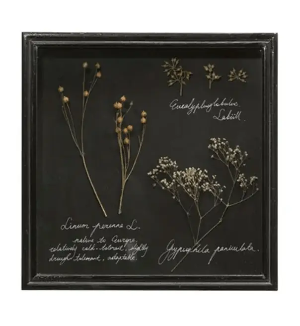 Dried Botanical Shadow Box - Tampa Home & Garden Store