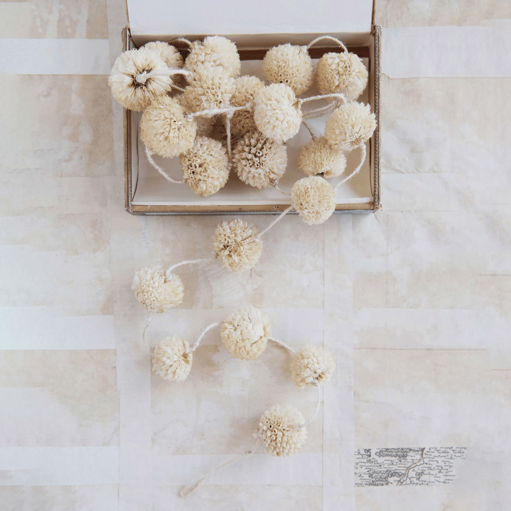 Dried Natural Spinny Flower Garland - Tampa Home & Garden Store