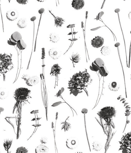 Dried Flora Wallpaper, white and black - Tampa Home & Garden Store