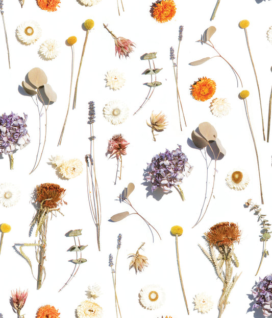 Dried Flora Wallpaper, lavender & orange - Tampa Home & Garden Store