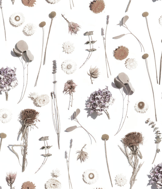 Dried Flora Wallpaper, neutral - Tampa Home & Garden Store