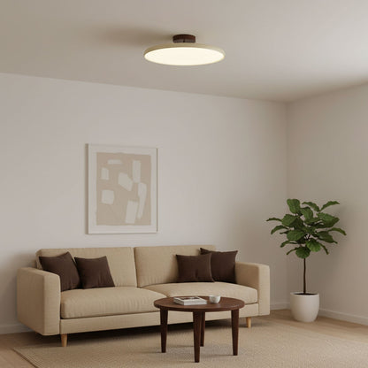 Orbitra flush-mount LED ceiling light with swivel arm, dimmable beige fixture in living room on Tampa Home & Garden Store
