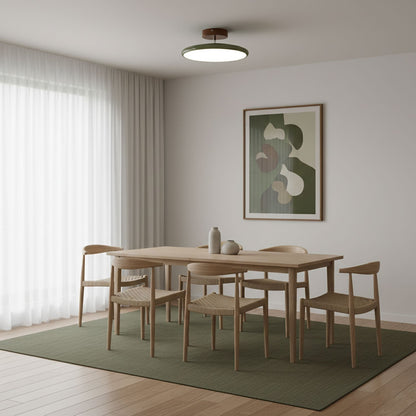 Orbitra flush-mount LED ceiling light with swivel arm, dimmable beige/green fixture on Tampa Home & Garden Store