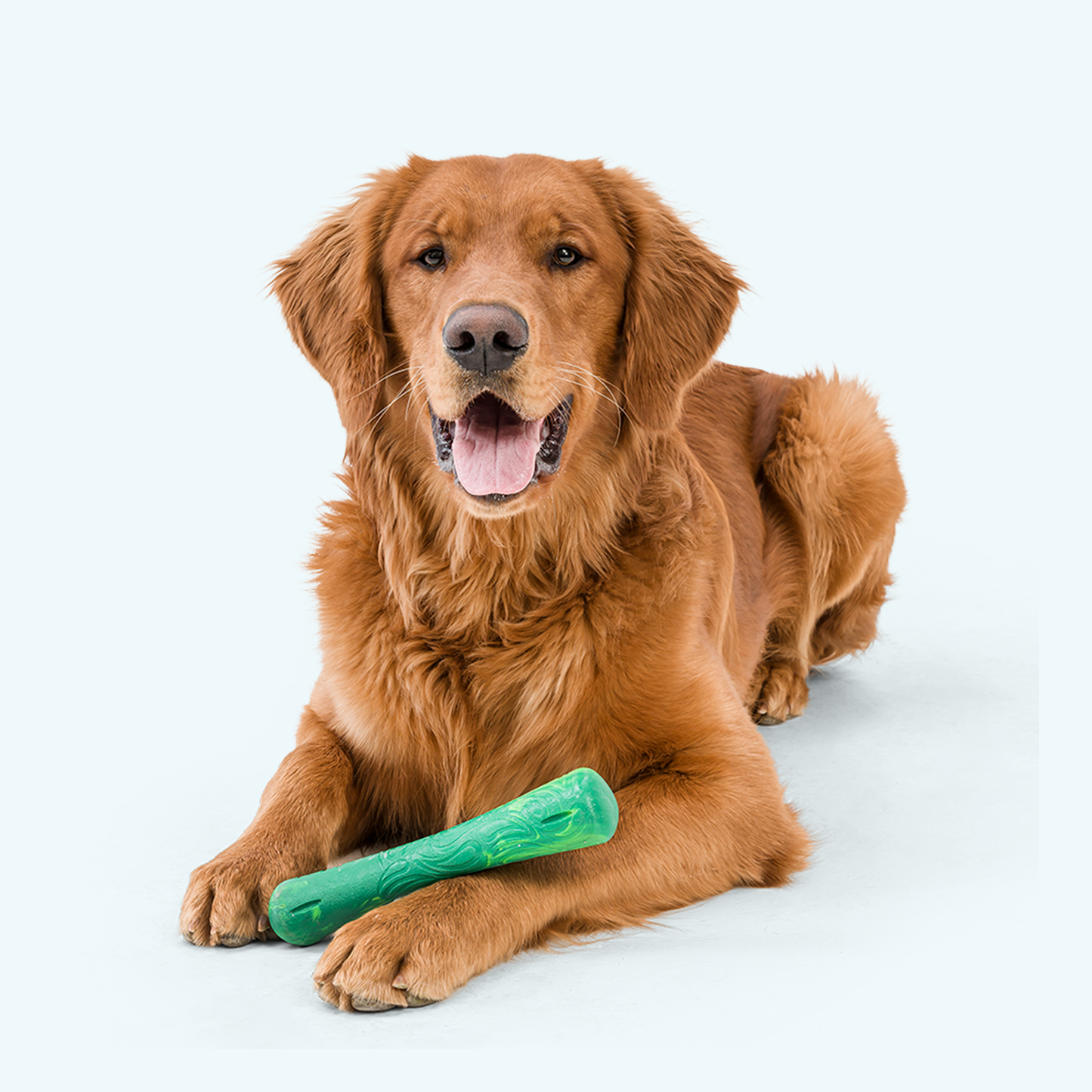 Drifty Dishwasher Safe Bone Upgrade for Chewers