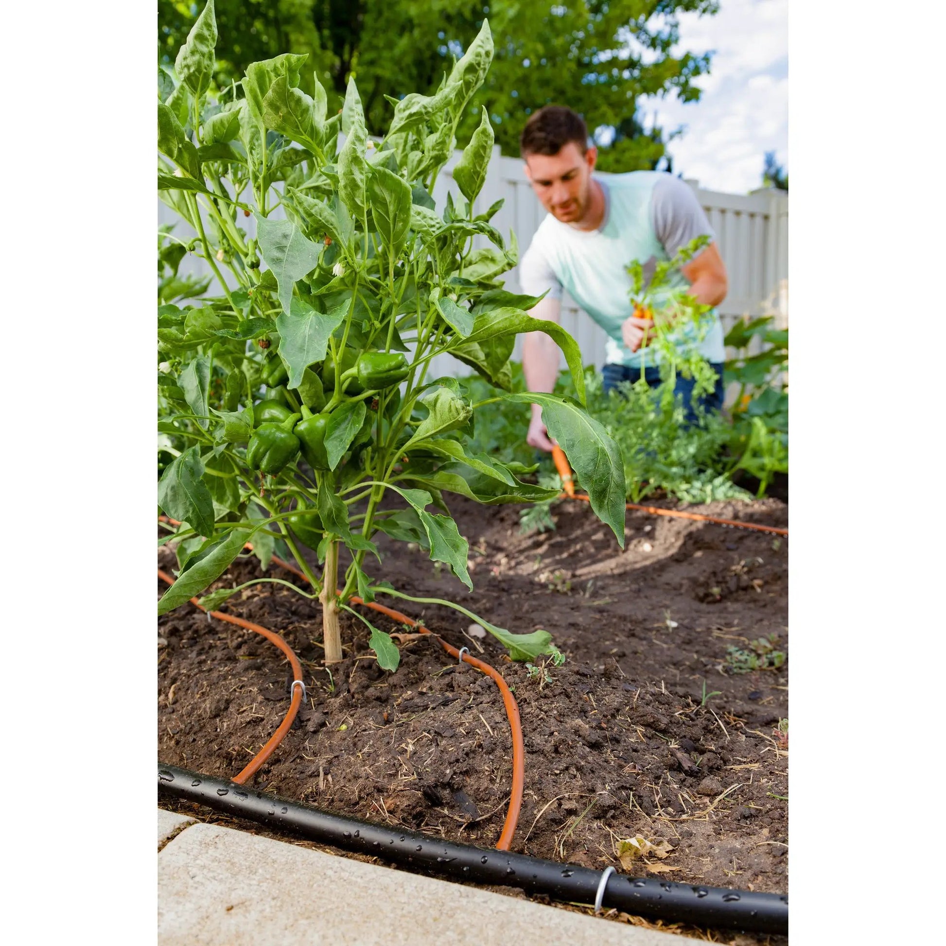 Pressure Compensating Drip Emitter Tubing in UV-resistant polyethylene for drip irrigation on Tampa Home & Garden Store