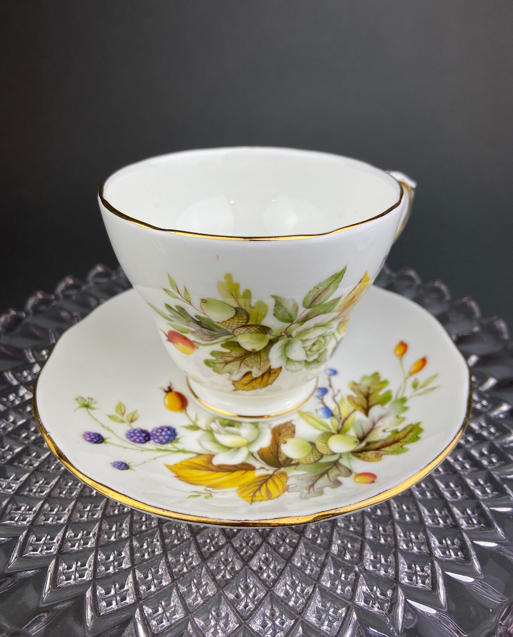 Duchess Fine Bone China Tea Cup and Saucer, Autumn Motif, Made in England - Tampa Home & Garden Store