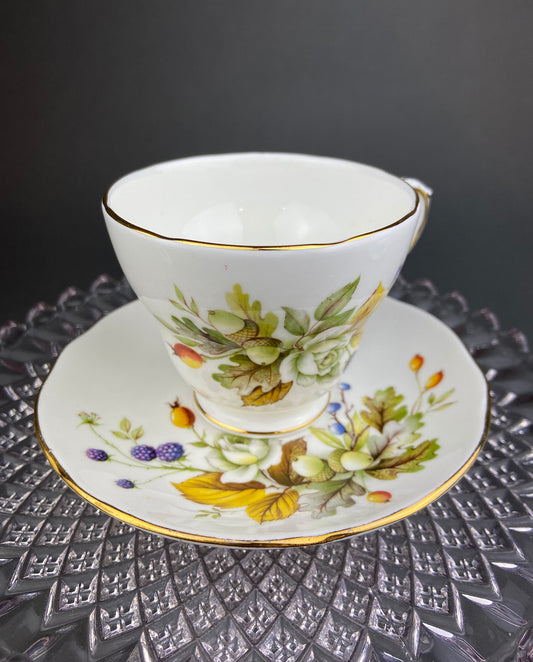 Duchess Fine Bone China Tea Cup and Saucer, Autumn Motif, Made in England - Tampa Home & Garden Store