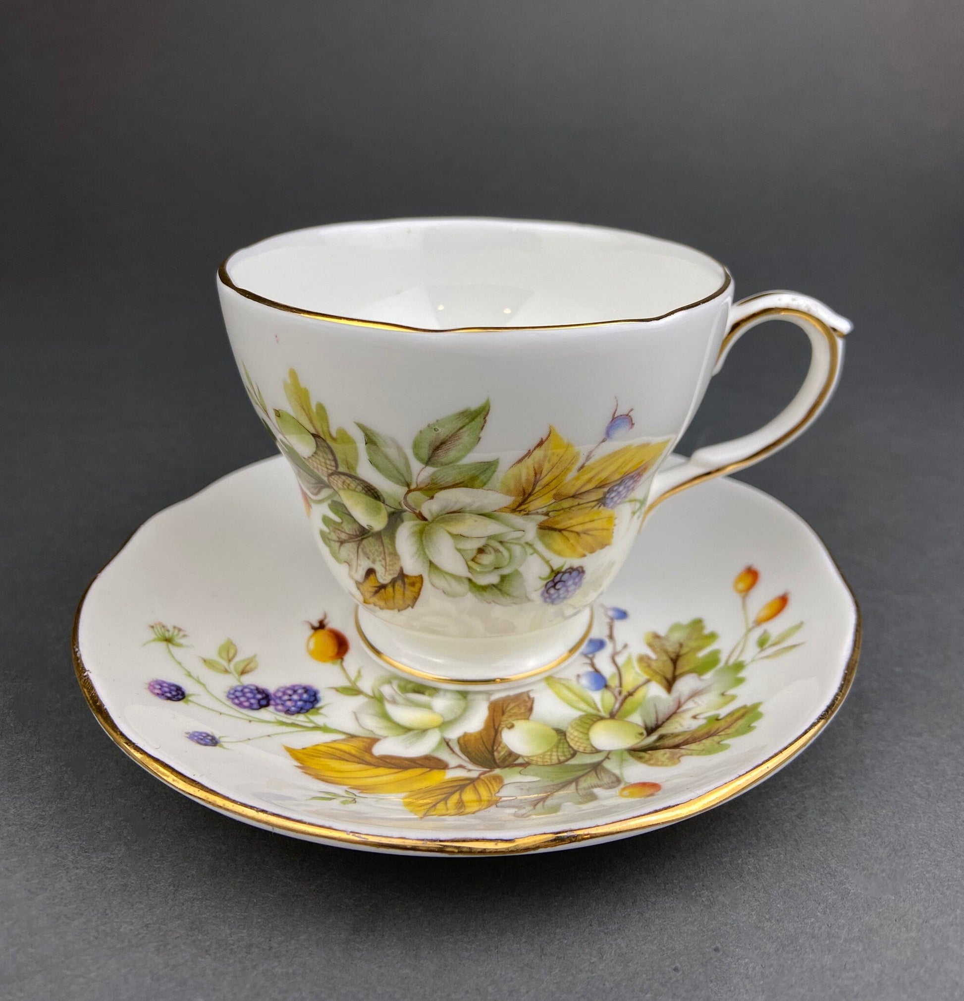 Duchess Fine Bone China Tea Cup and Saucer, Autumn Motif, Made in England - Tampa Home & Garden Store