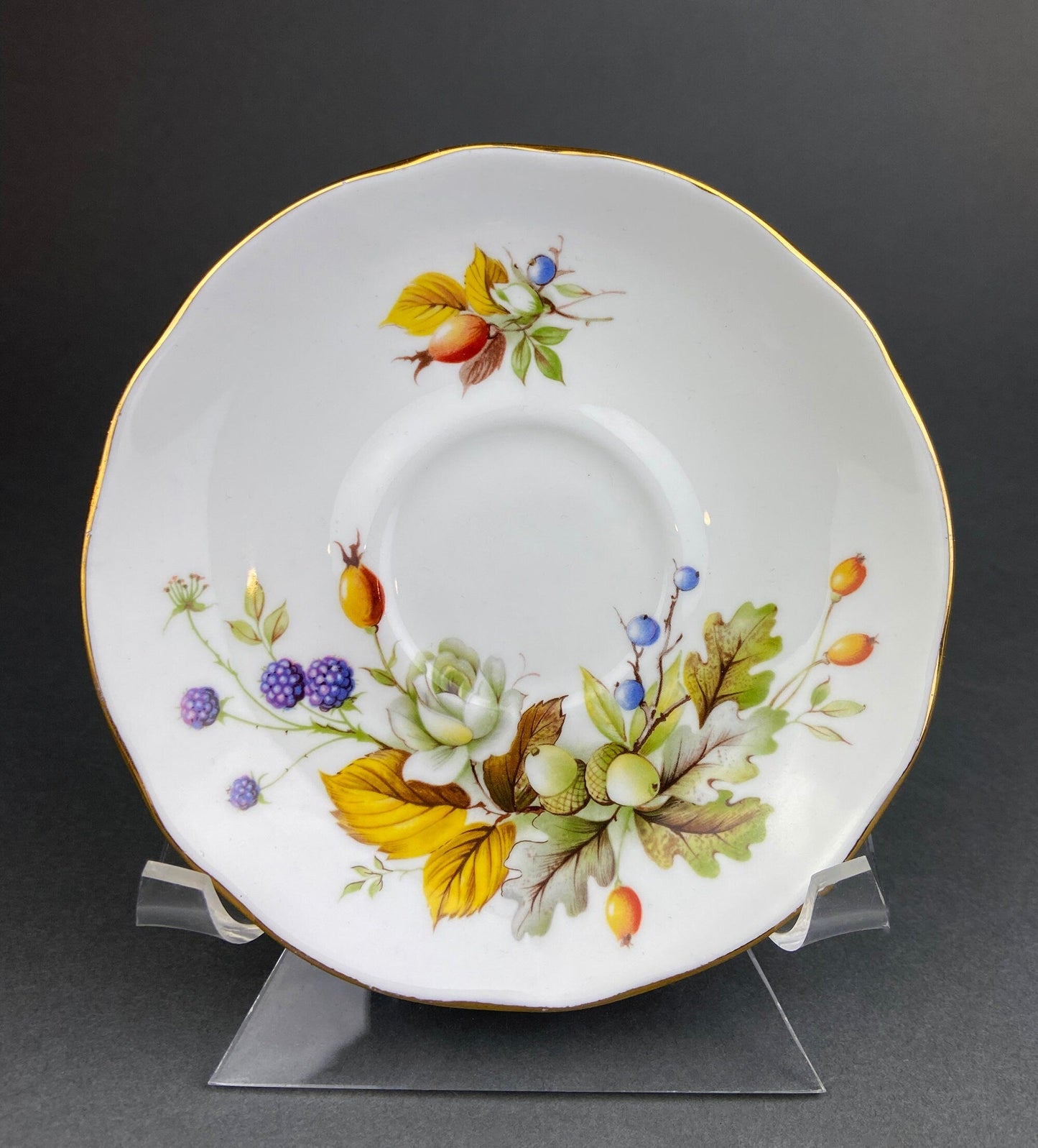 Duchess Fine Bone China Tea Cup and Saucer, Autumn Motif, Made in England - Tampa Home & Garden Store