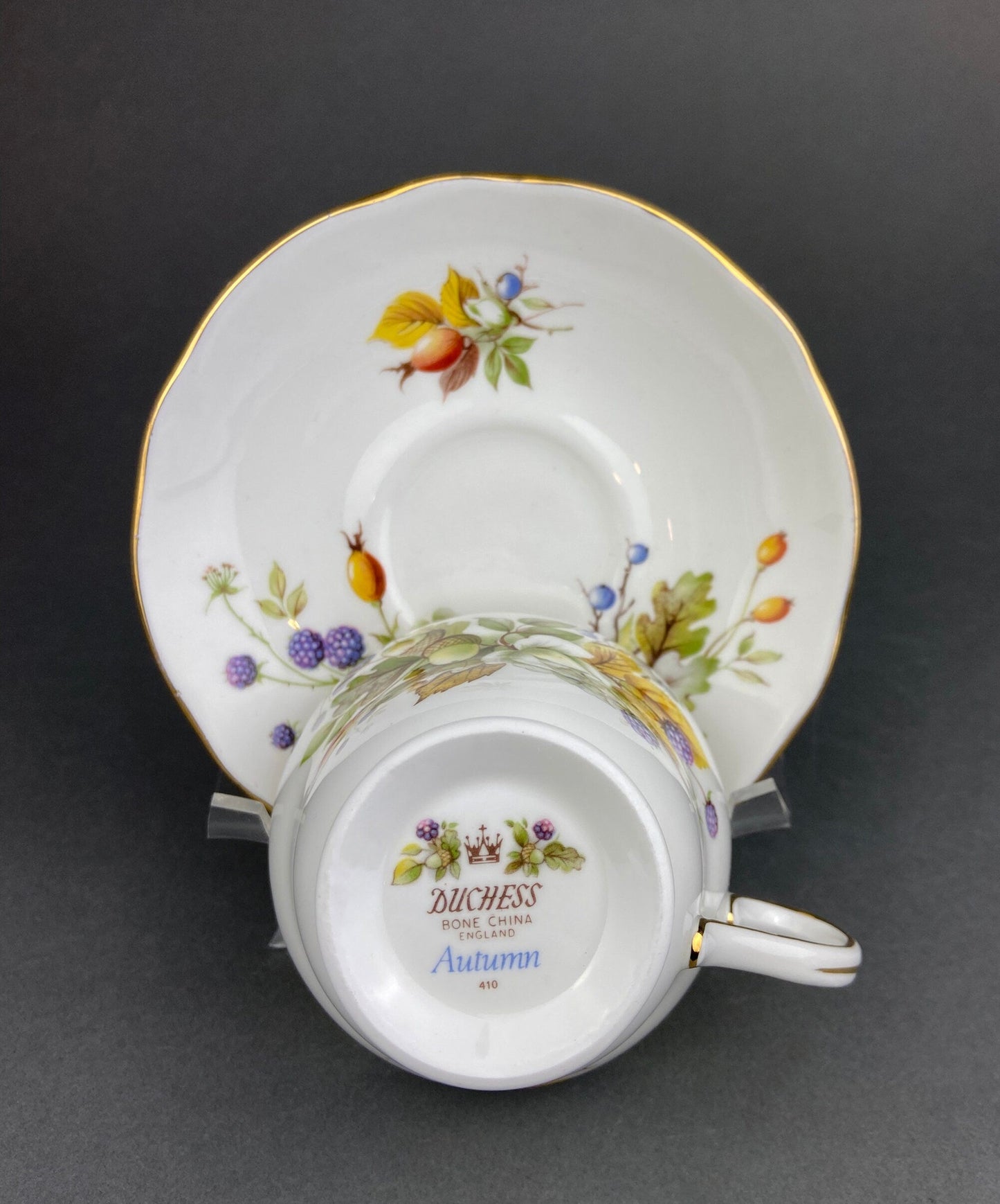 Duchess Fine Bone China Tea Cup and Saucer, Autumn Motif, Made in England - Tampa Home & Garden Store