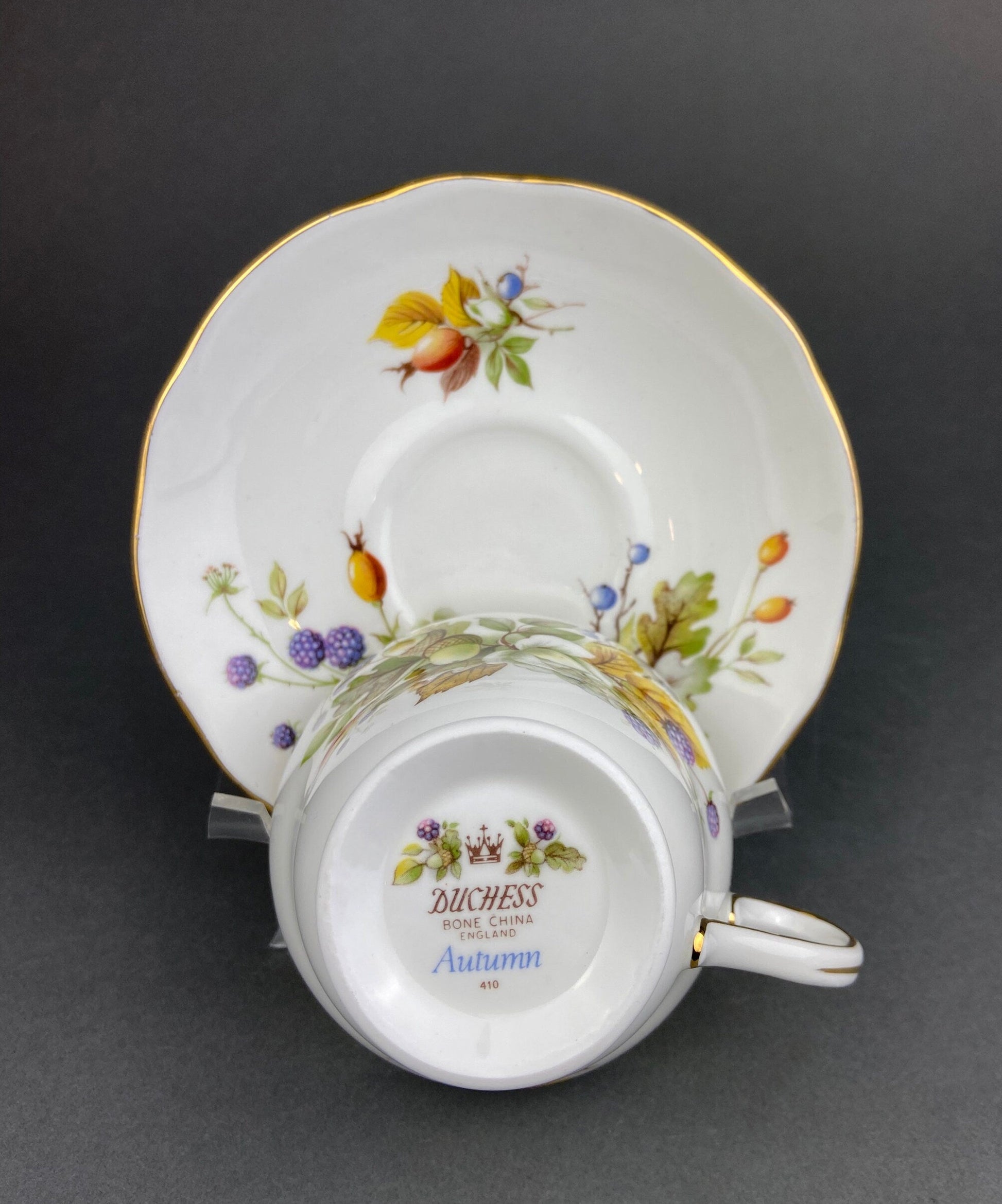 Duchess Fine Bone China Tea Cup and Saucer, Autumn Motif, Made in England - Tampa Home & Garden Store