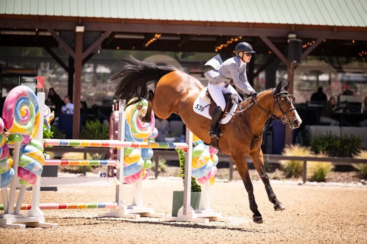 Grand Prix Ladies EQJ 3 Button Show Coat Cadet Blue NY Tech Fabric rider on Tampa Home & Garden Store