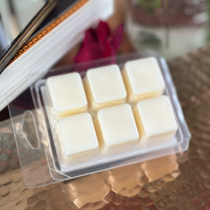 Go Away I'm Reading Wax Melt set white wax tarts by In the Wick of Time on Tampa Home & Garden Store