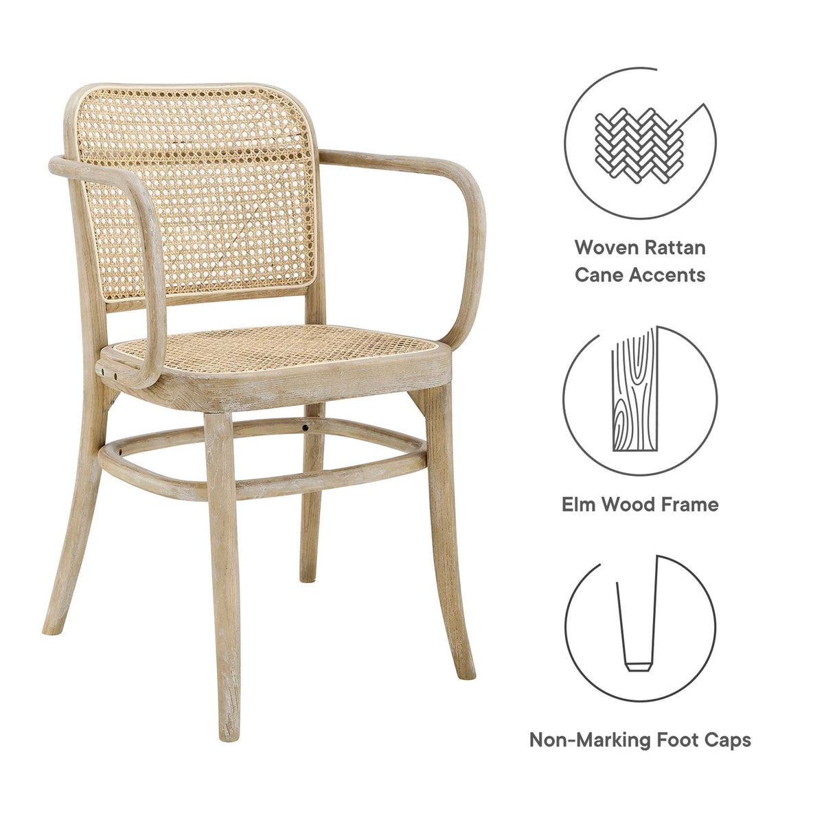 Winona Wood Dining Chair by Modway, natural elm wood frame with woven rattan cane accents on Tampa Home & Garden Store