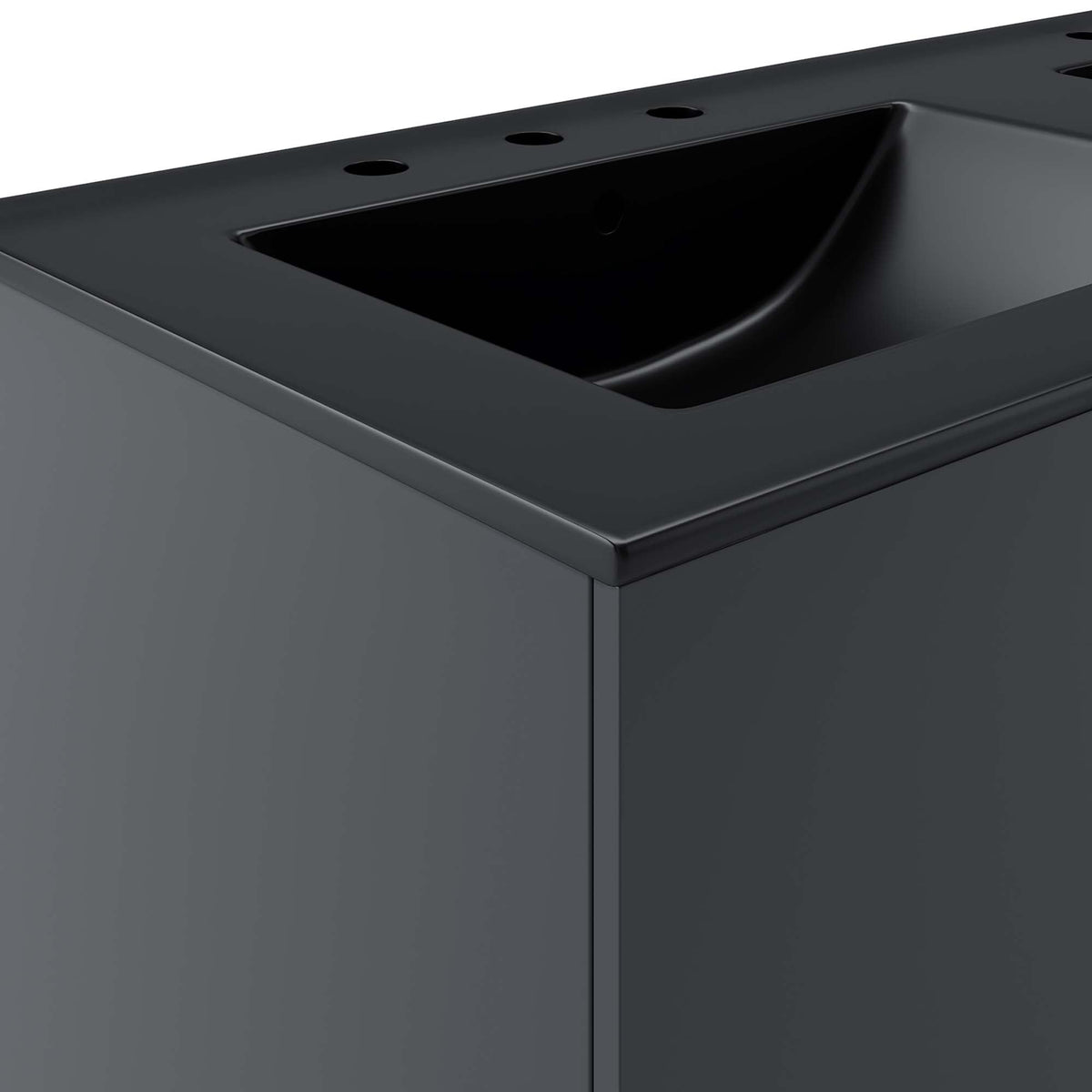 Vitality 48in double sink bathroom vanity dark gray top with circular sink holes on Tampa Home & Garden Store