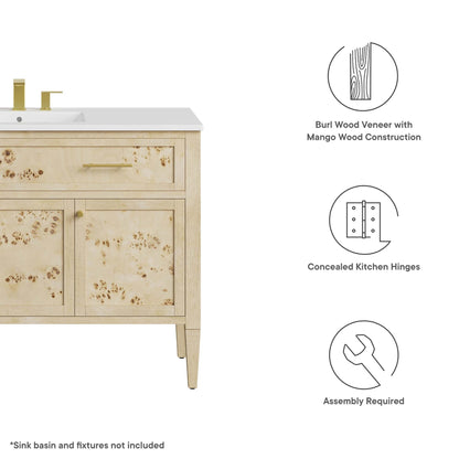 Elysian 48 Inch Wood Bathroom Vanity Cabinet
