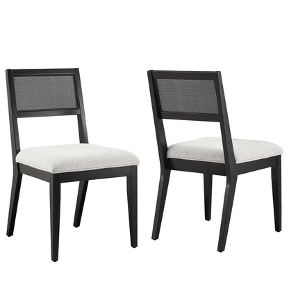 Nimba Faux Rattan Dining Chairs set of 2, black frames, caned backs, light gray cushions on Tampa Home & Garden Store