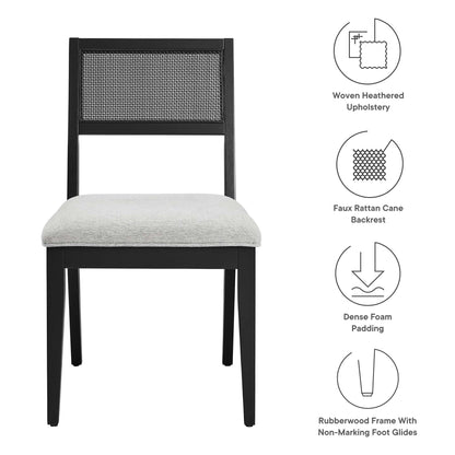 Nimba Faux Rattan Dining Chairs Set of 2 with black rubberwood frame and gray upholstery seats on Tampa Home & Garden Store