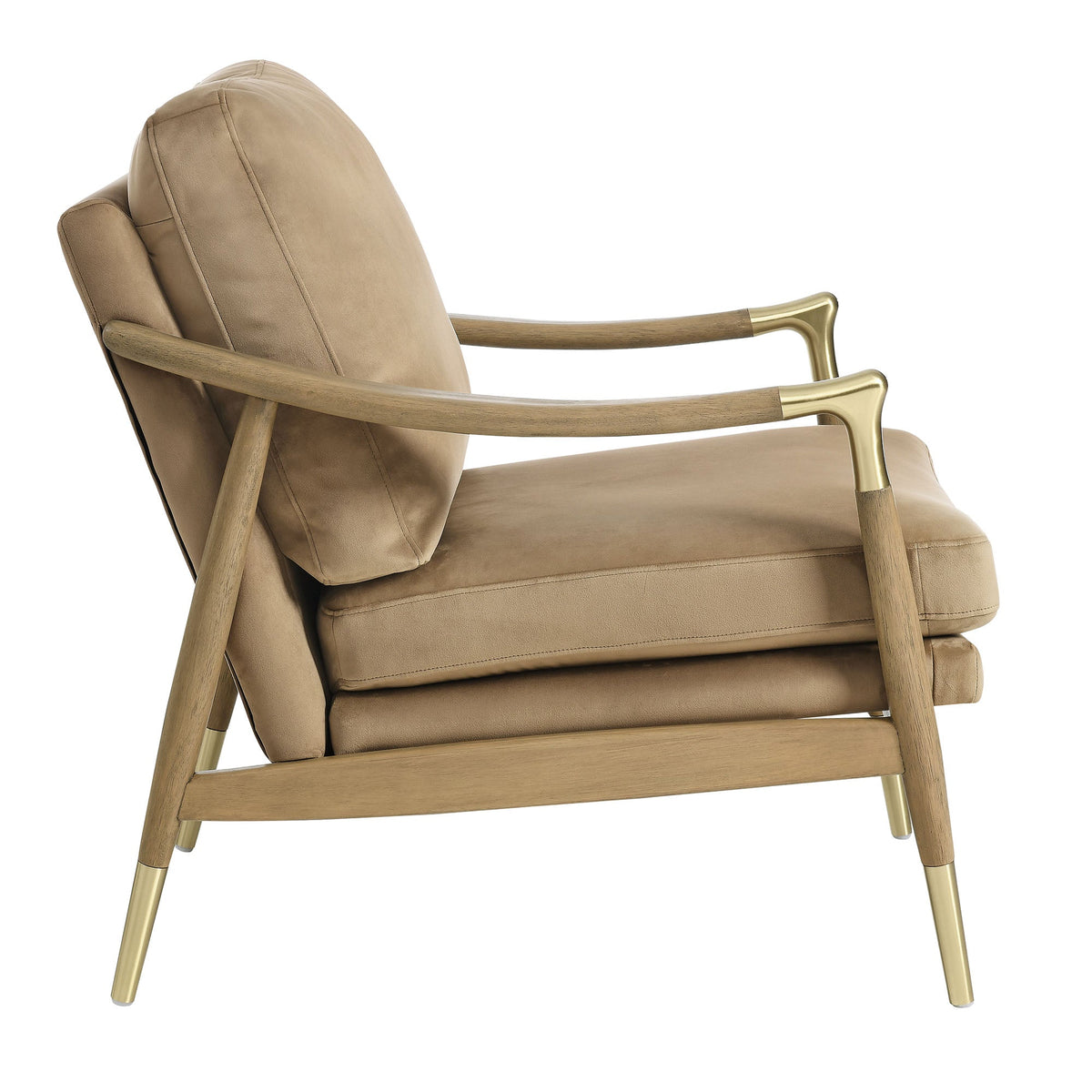Modway Langford Performance Velvet accent armchair beige with wood arms and brass caps on Tampa Home & Garden Store