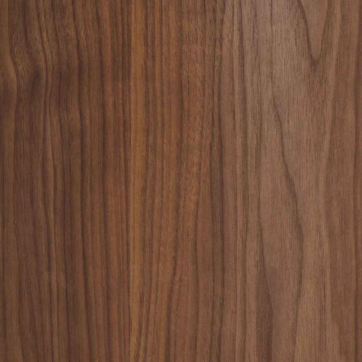 Brown woodgrain tabletop texture for Kioni Round Travertine Coffee Table by Modway HouseOfZazla on Tampa Home & Garden Store