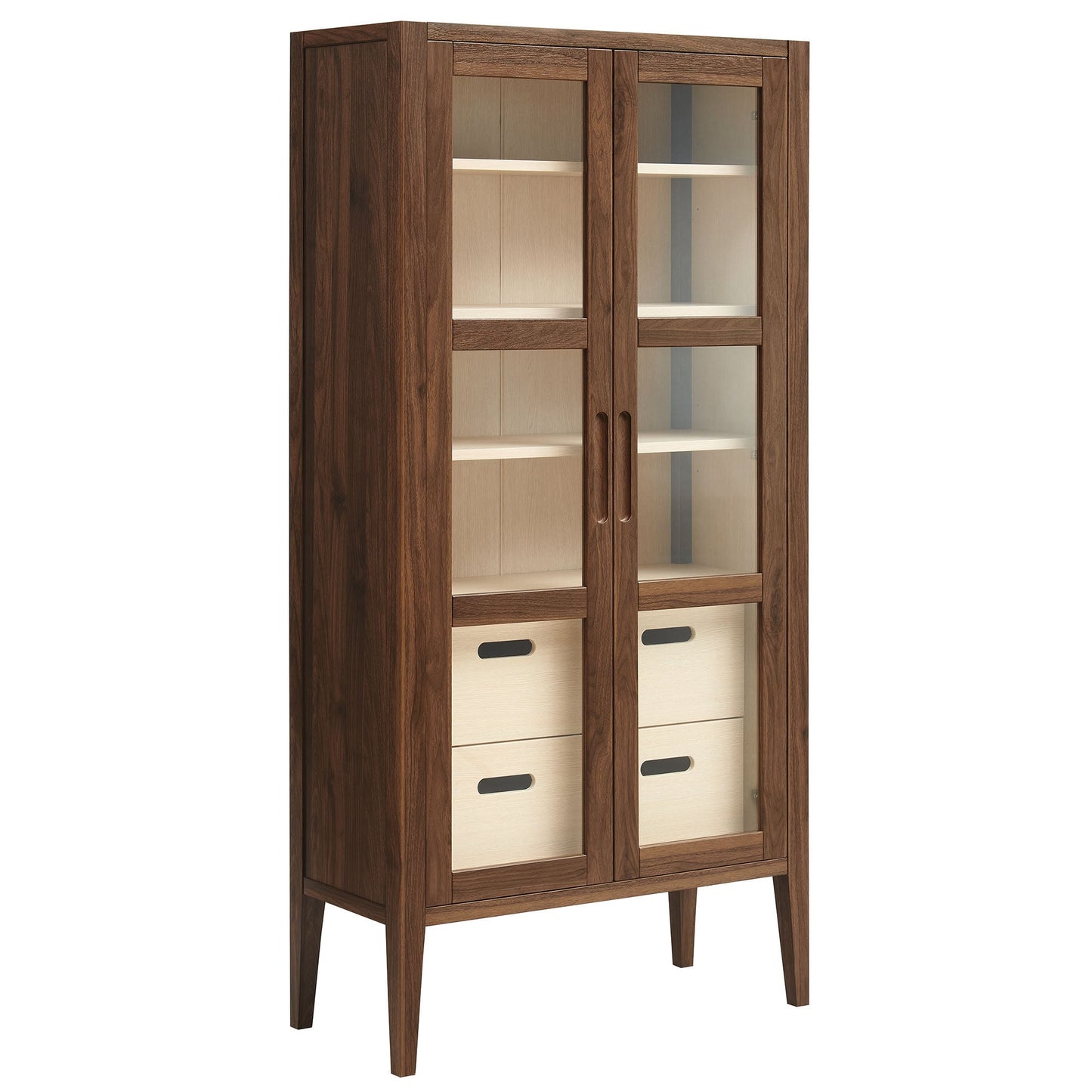 Nell Modern Glass Door and Storage Cabinet