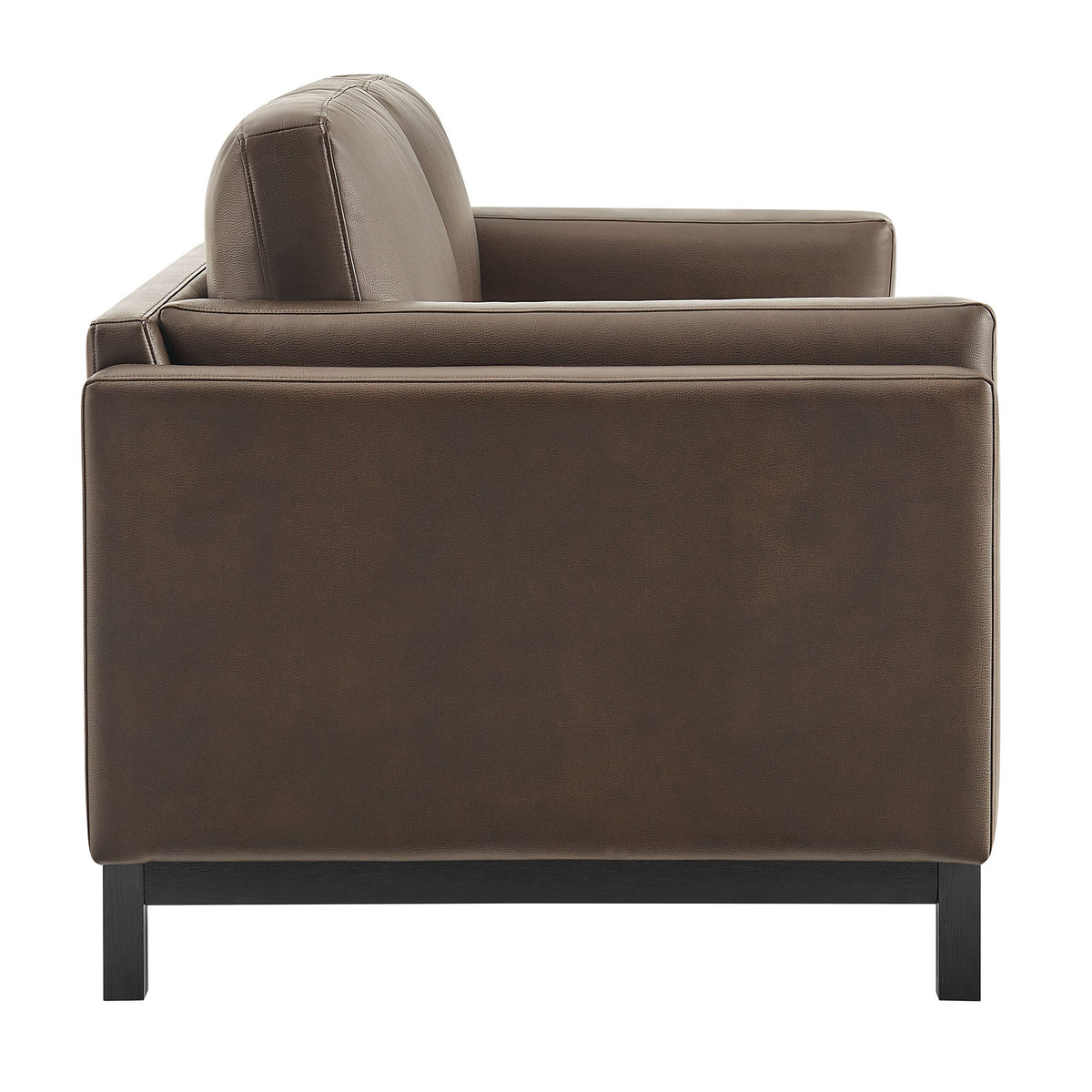 Roscoe 81 Inch Vegan Leather Sofa for the Living