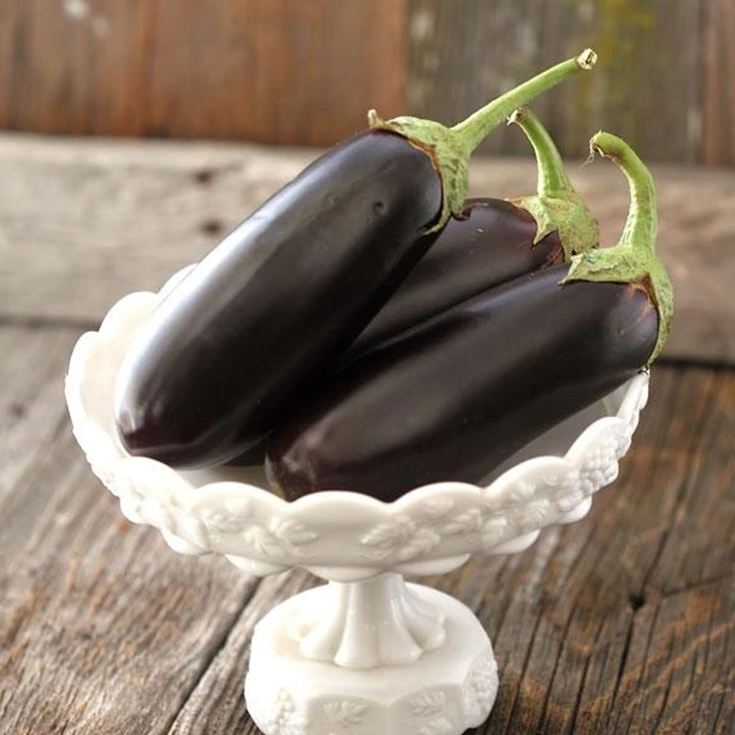 Diamond Eggplant seeds: small glossy purple eggplants resting on a white cupcake liner on Tampa Home & Garden Store