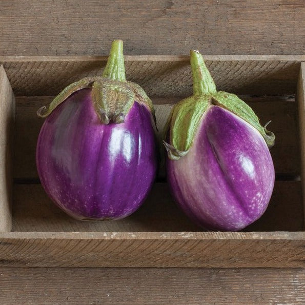 Rosa Bianca eggplants two glossy purple fruits in a wooden crate on Tampa Home & Garden Store