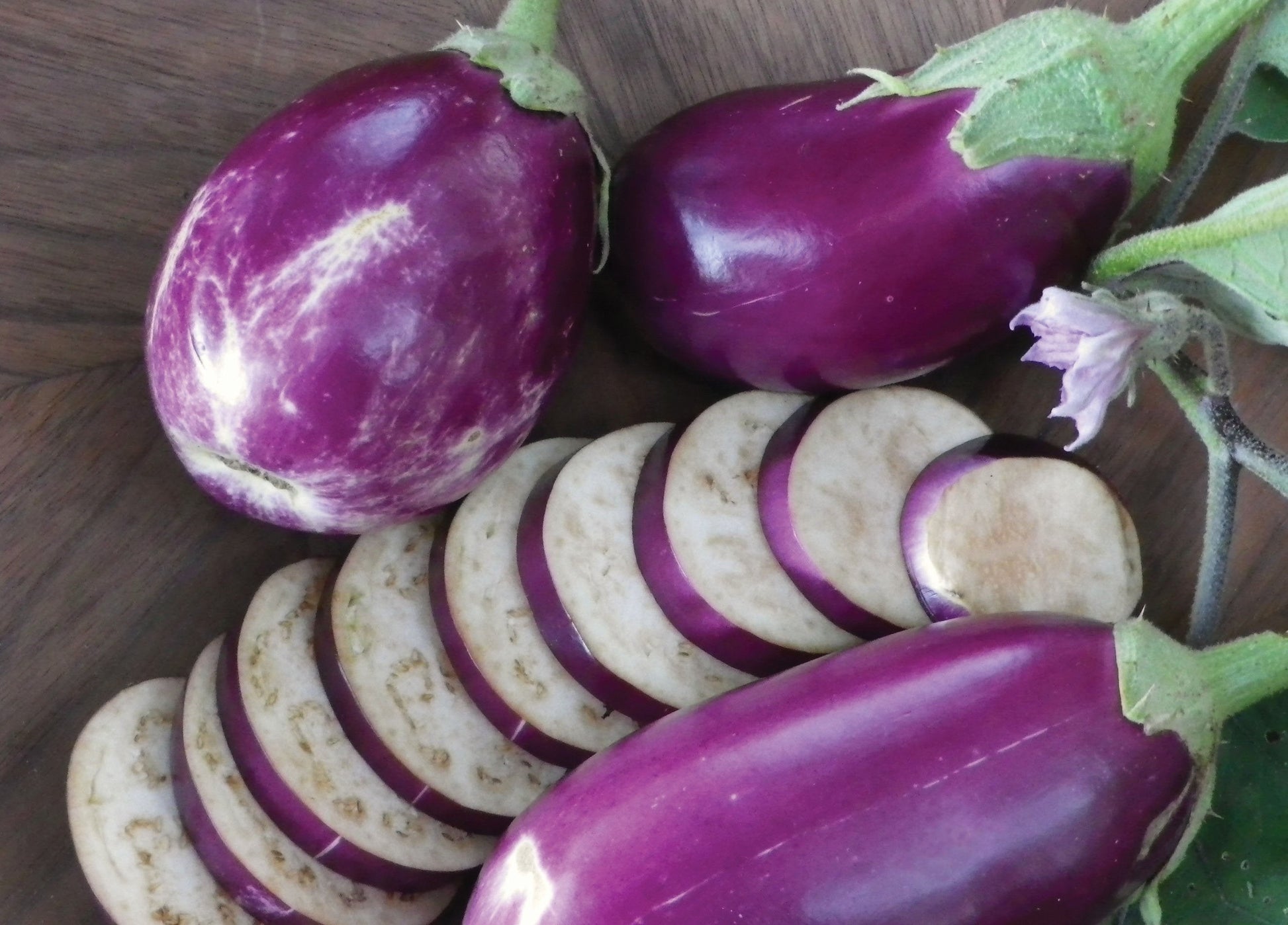 Rosita Eggplant seeds, purple globe eggplants with green calyx, Seedtime Store on Tampa Home & Garden Store