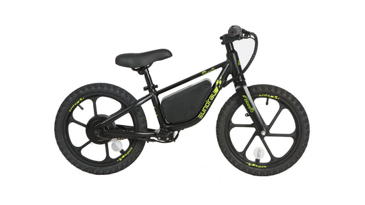 EKIDS16 1.0 - Tampa Home & Garden Store
