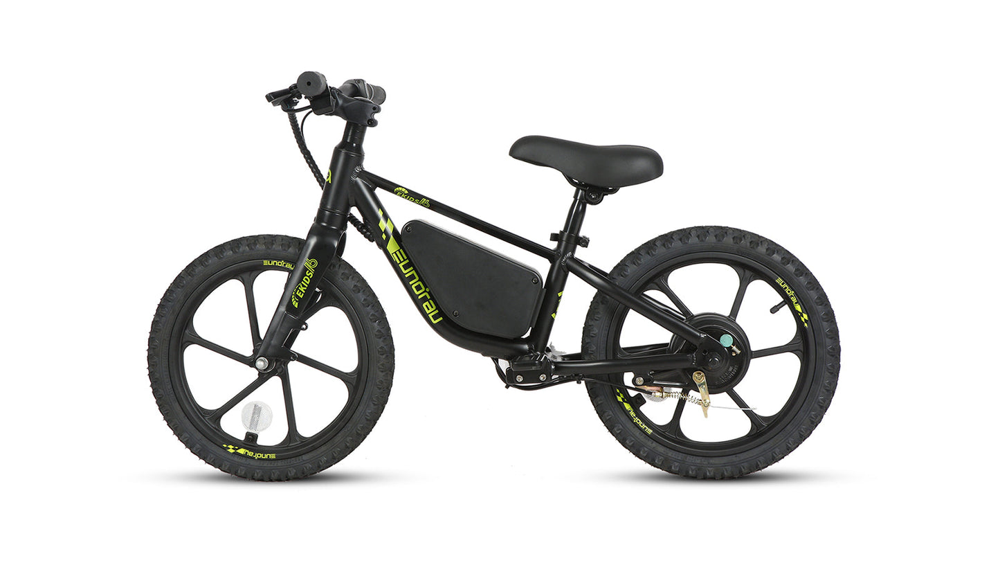 EKIDS16 1.0 - Tampa Home & Garden Store