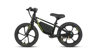 EKIDS16 1.0 - Tampa Home & Garden Store