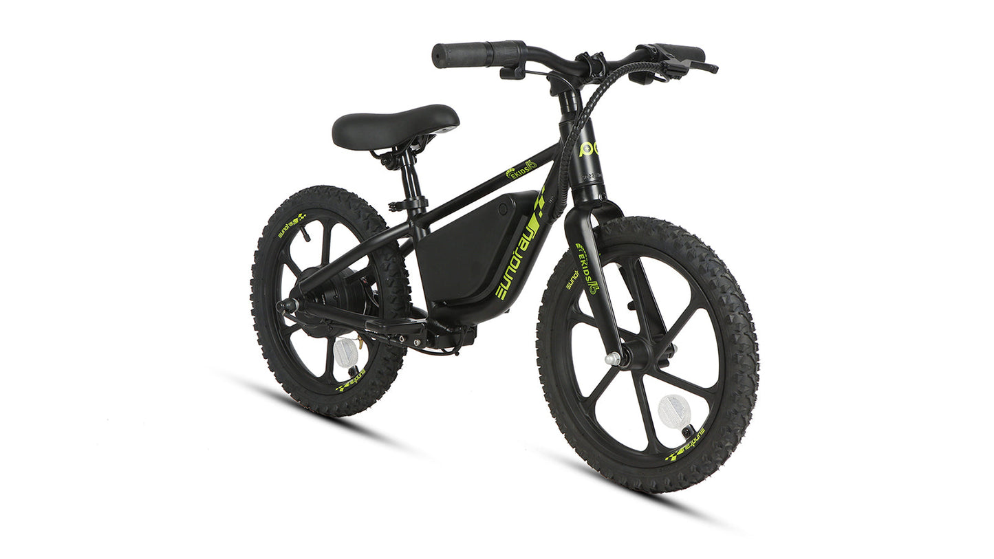 EKIDS16 1.0 - Tampa Home & Garden Store