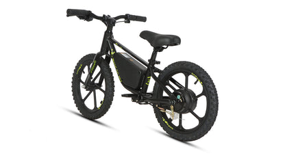 EKIDS16 1.0 - Tampa Home & Garden Store