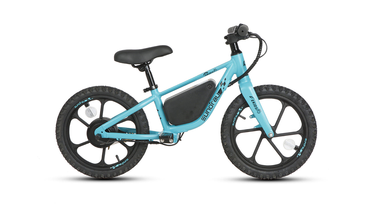 EKIDS16 1.0 - Tampa Home & Garden Store