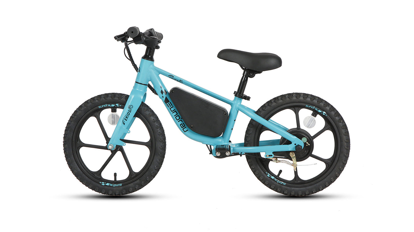 EKIDS16 1.0 - Tampa Home & Garden Store