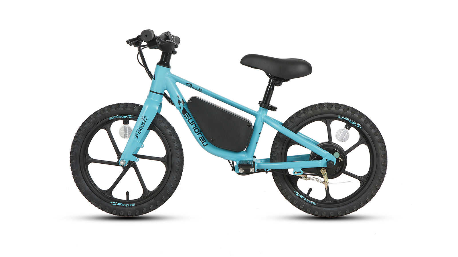 EKIDS16 1.0 - Tampa Home & Garden Store