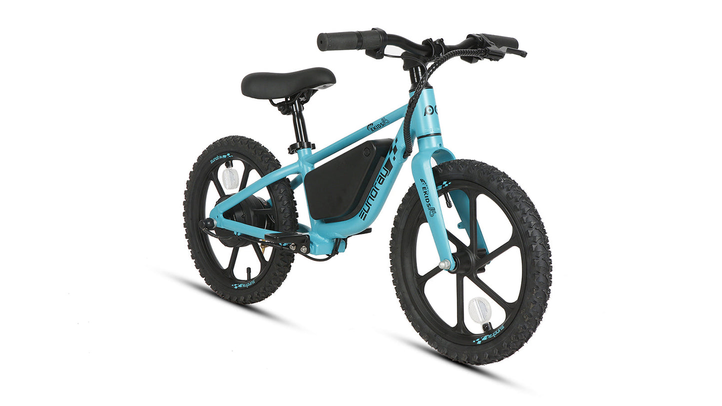 EKIDS16 1.0 - Tampa Home & Garden Store