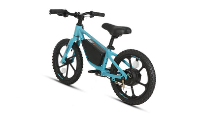 EKIDS16 1.0 - Tampa Home & Garden Store