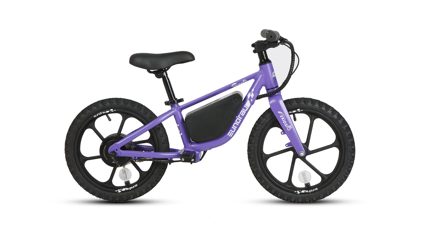 EKIDS16 1.0 - Tampa Home & Garden Store