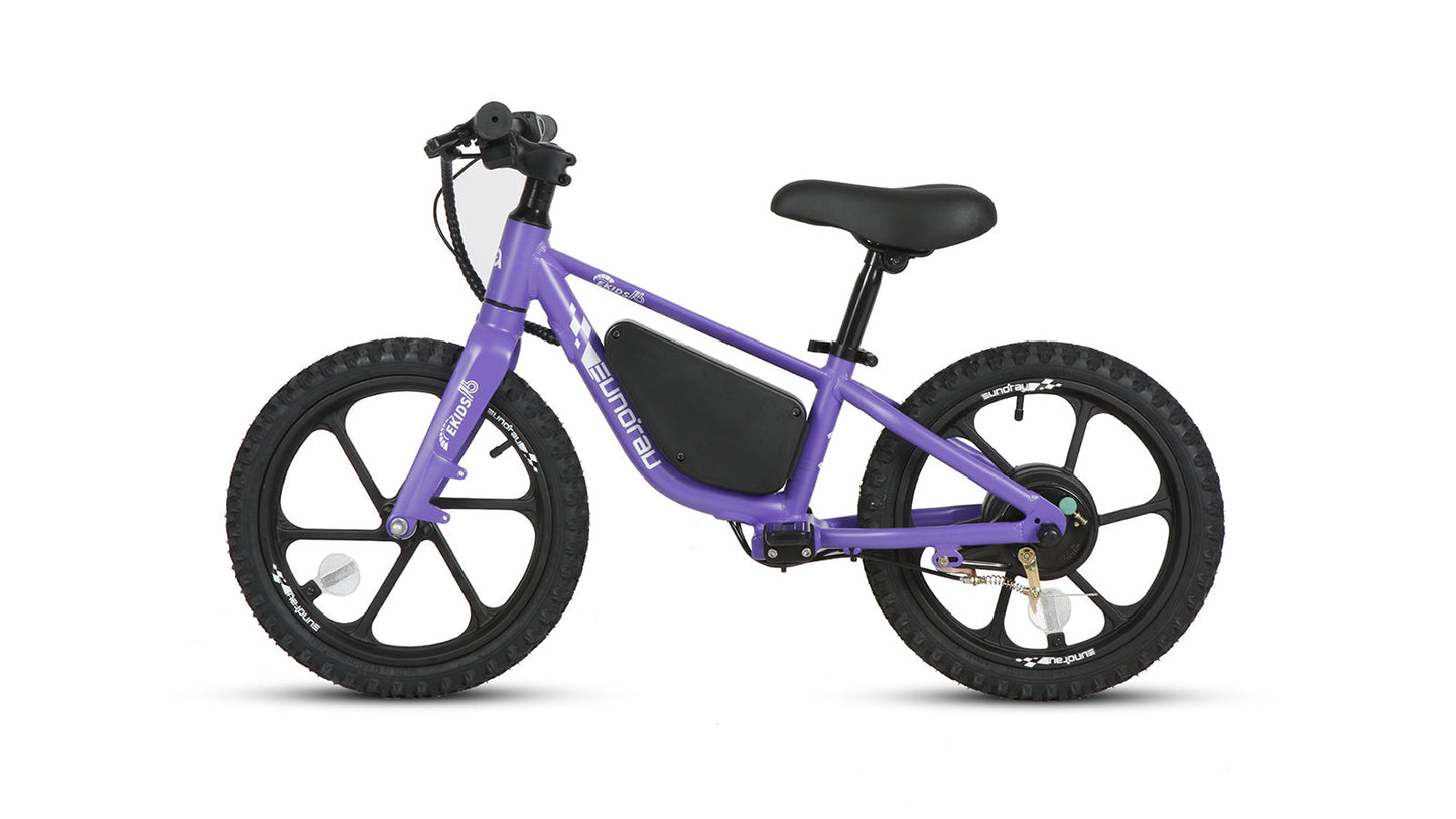 EKIDS16 1.0 - Tampa Home & Garden Store