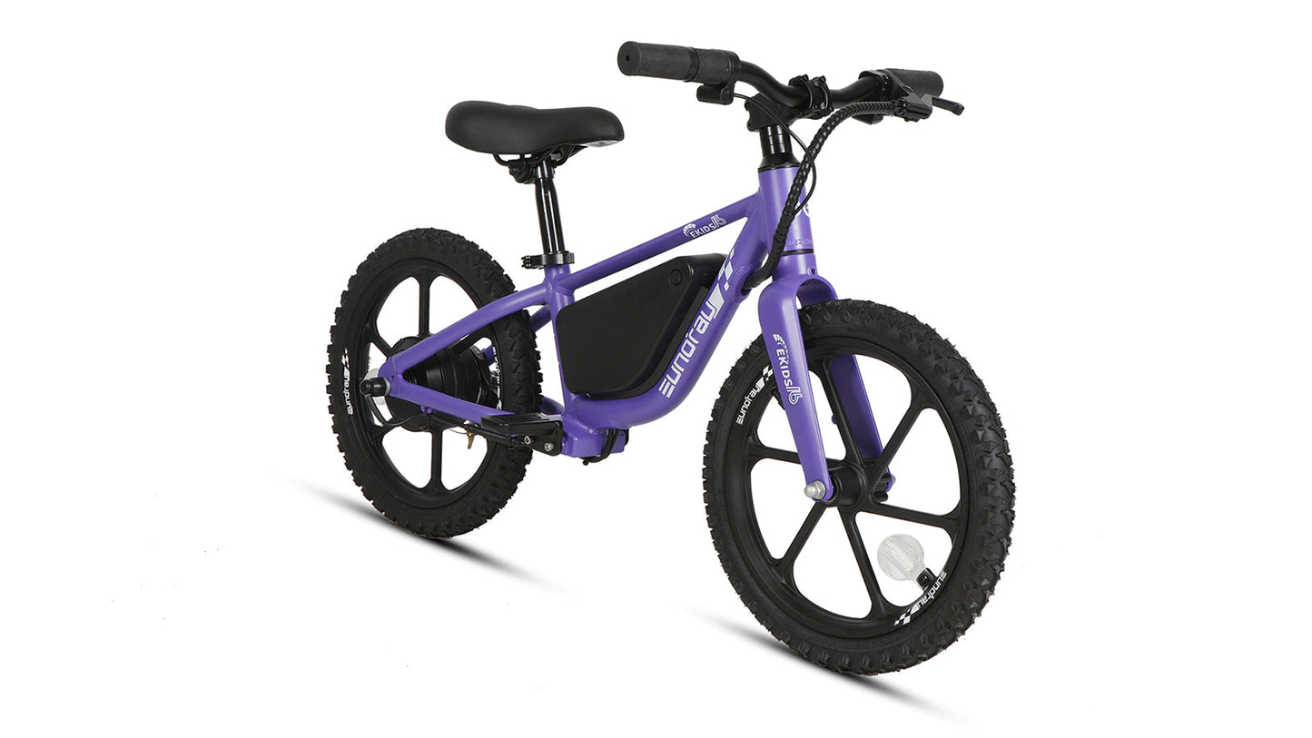 EKIDS16 1.0 - Tampa Home & Garden Store