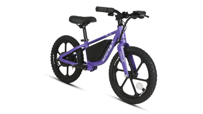 EKIDS16 1.0 - Tampa Home & Garden Store