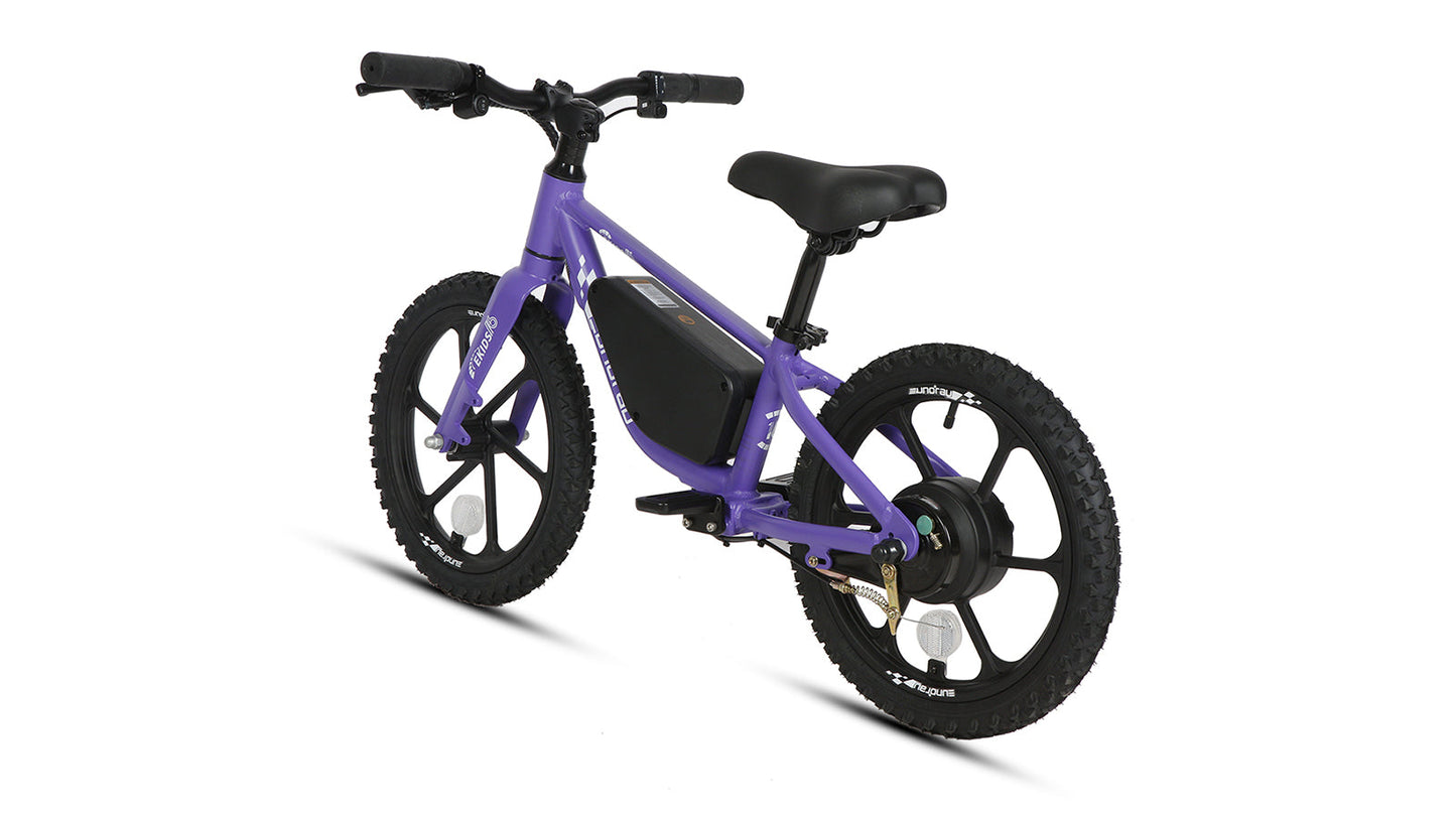 EKIDS16 1.0 - Tampa Home & Garden Store