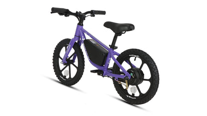 EKIDS16 1.0 - Tampa Home & Garden Store