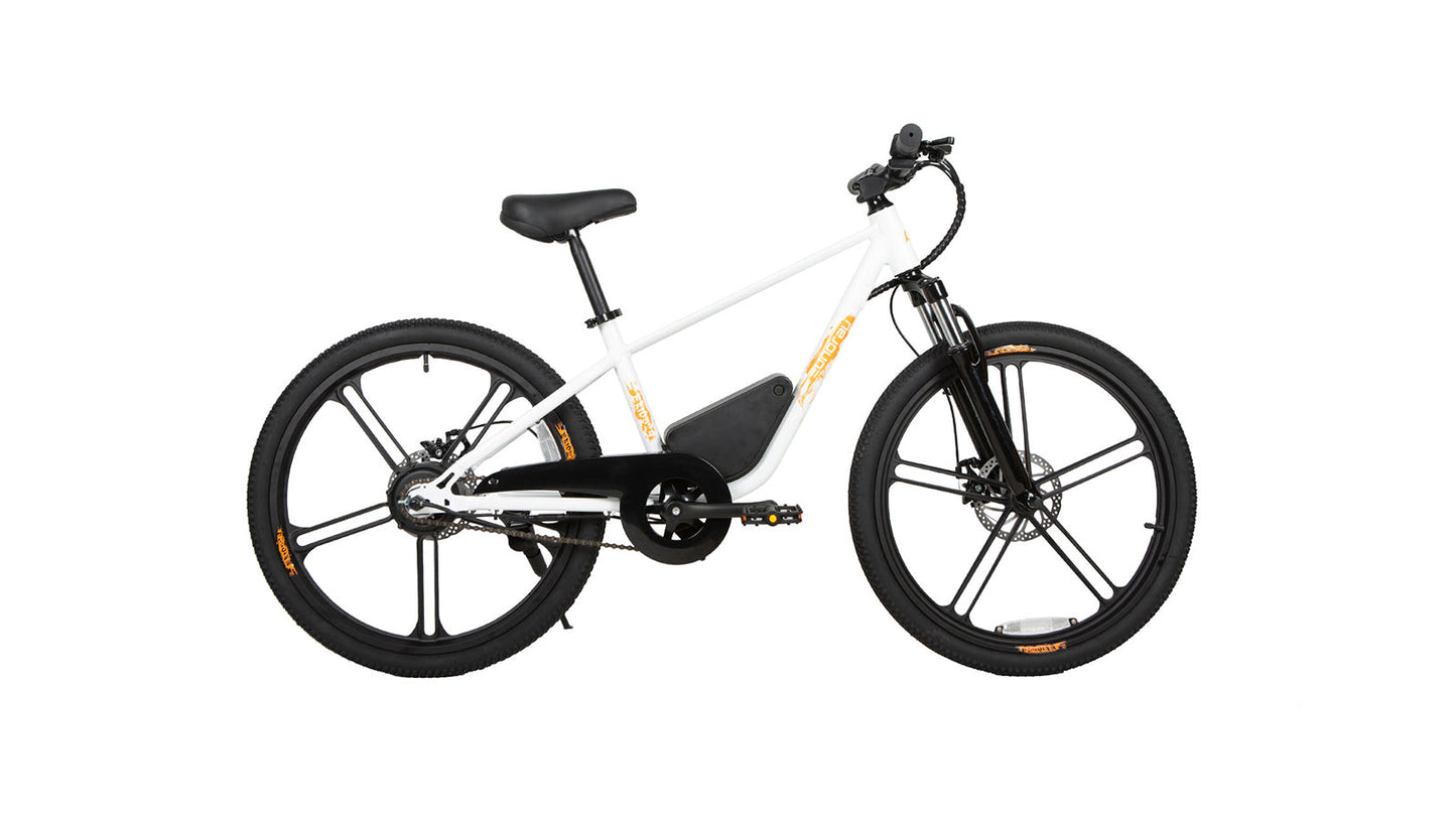 EKIDS24 1.0 - Tampa Home & Garden Store