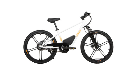 EKIDS24 1.0 - Tampa Home & Garden Store