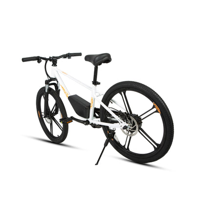 EKIDS24 1.0 - Tampa Home & Garden Store