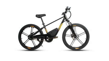 EKIDS24 1.0 - Tampa Home & Garden Store